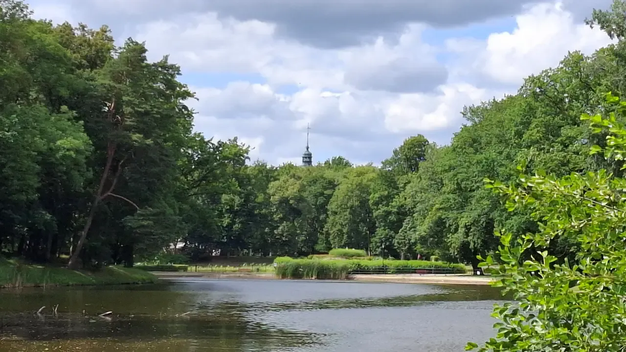Park Miejski w Sycowie ze stawem oraz wieżą kościoła widoczną ponad koronami drzew