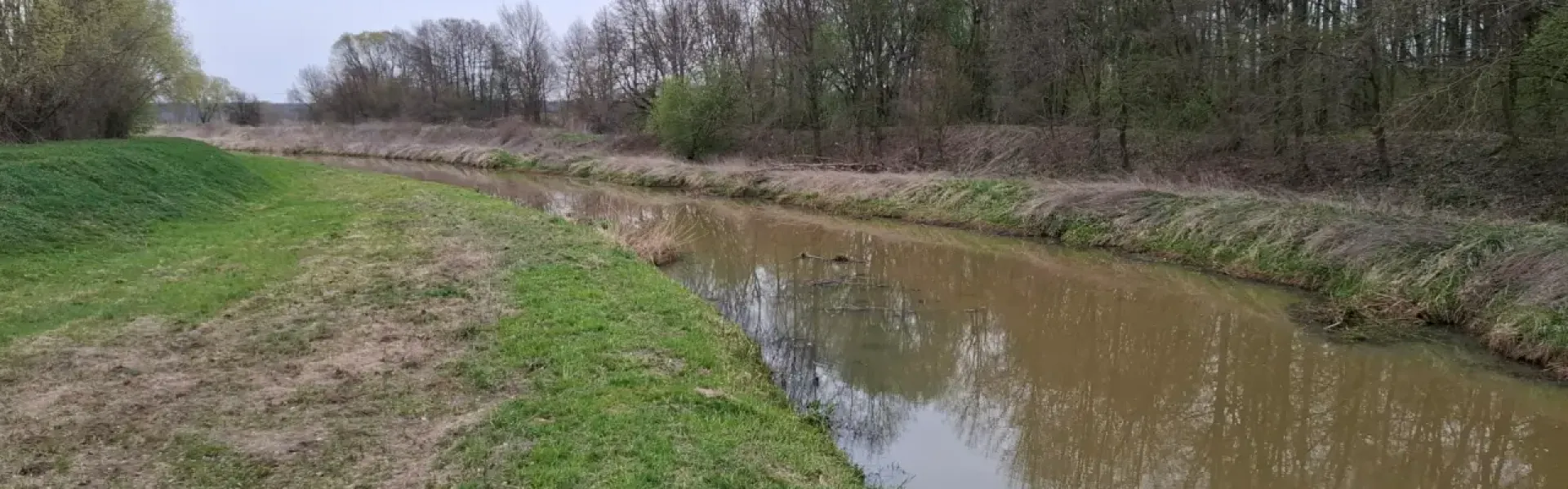 Dolina Baryczy – krajobraz, w którym woda zostaje na dłużej