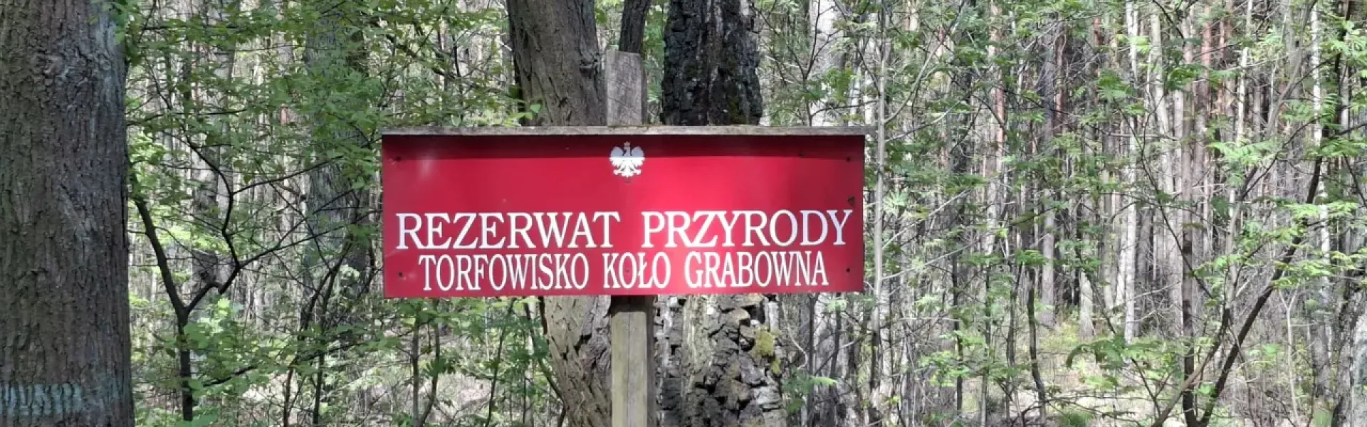 Torfowisko - miejsce, w którym woda nie ucieka