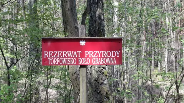 Torfowisko - miejsce, w którym woda nie ucieka