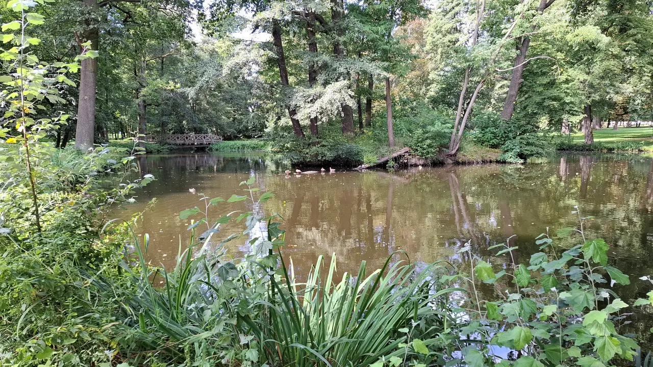 Staw i mostki w parku pałacowym w Lewkowie