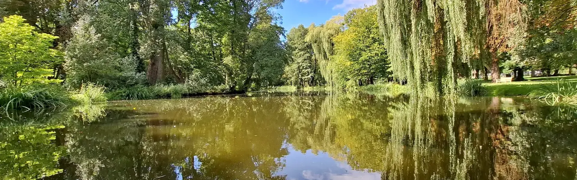 Staw w Lewkowie. Woda w parku pałacowym to nie tylko ozdoba