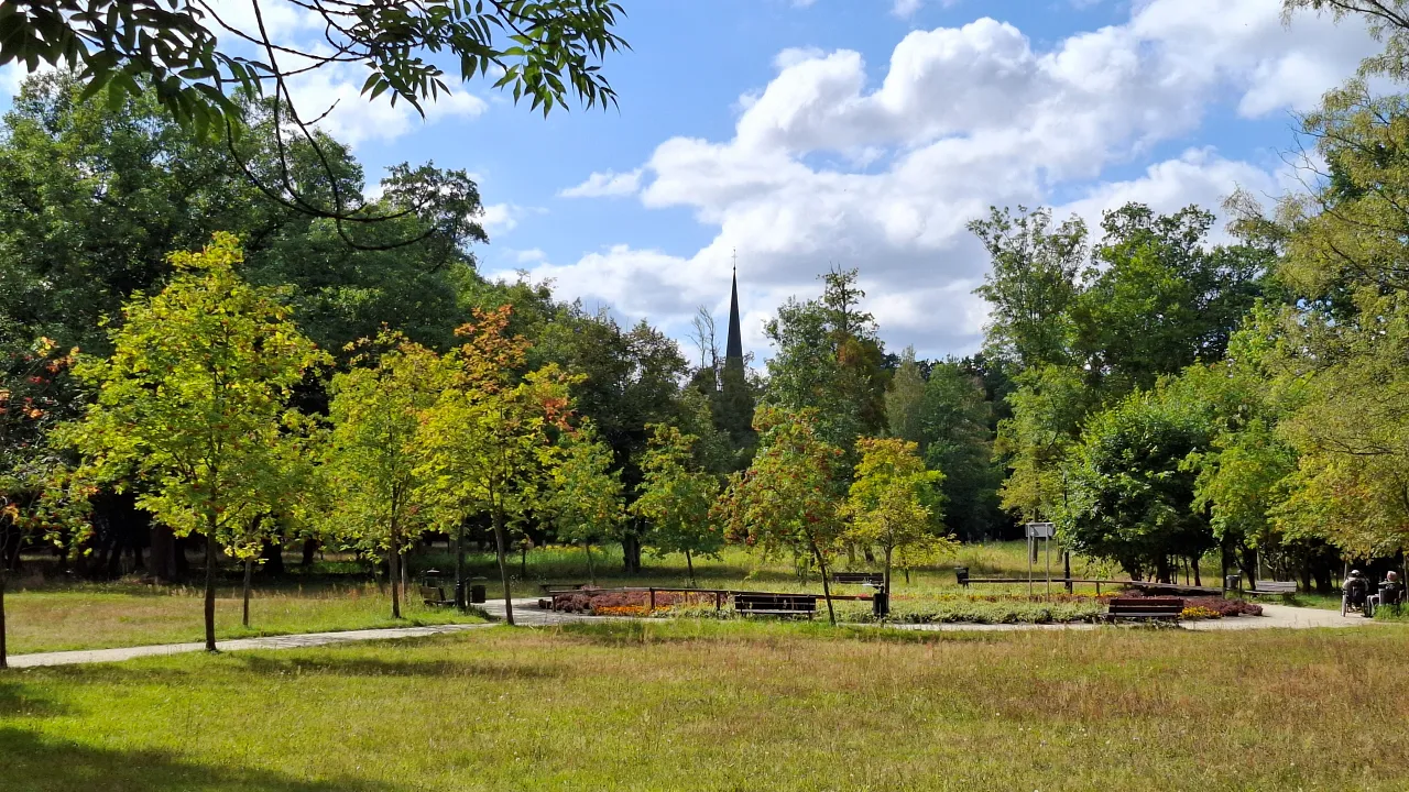 Park Miejski w Kluczborku z dojrzałym drzewostanem i polaną