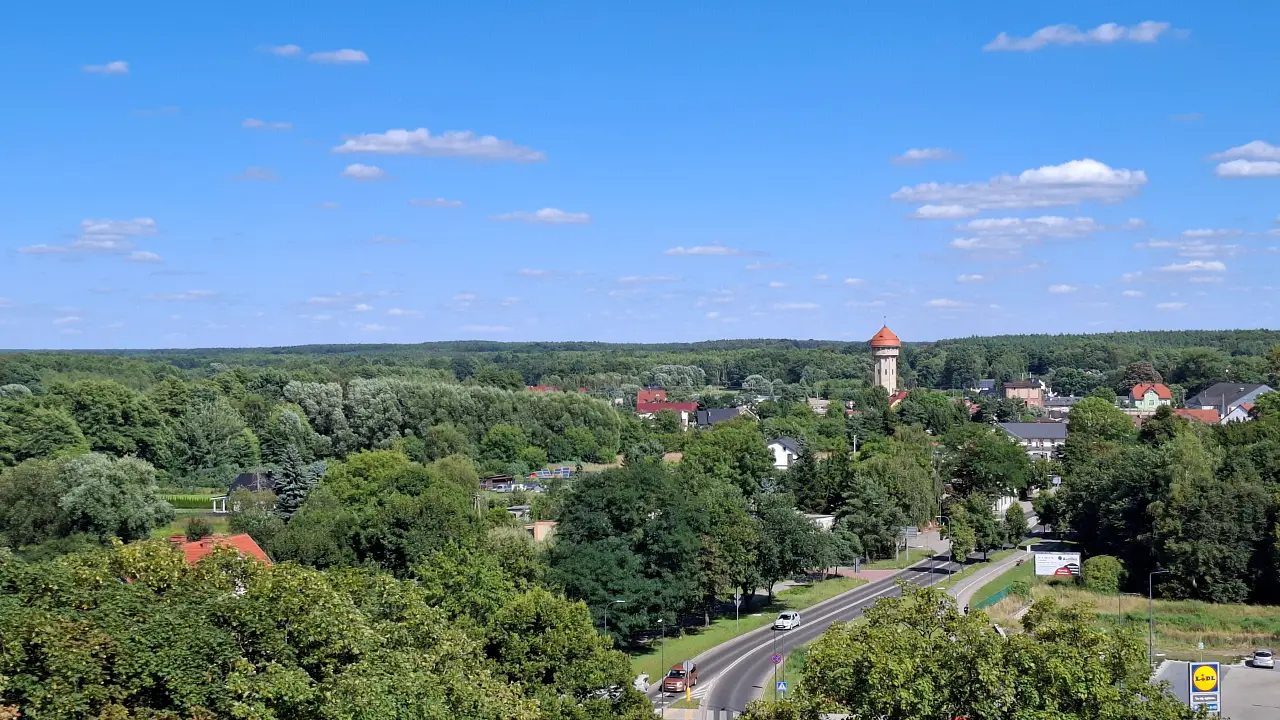 Widok na otaczającą Wołów zieleń oraz rozległe kompleksy leśne na horyzoncie.