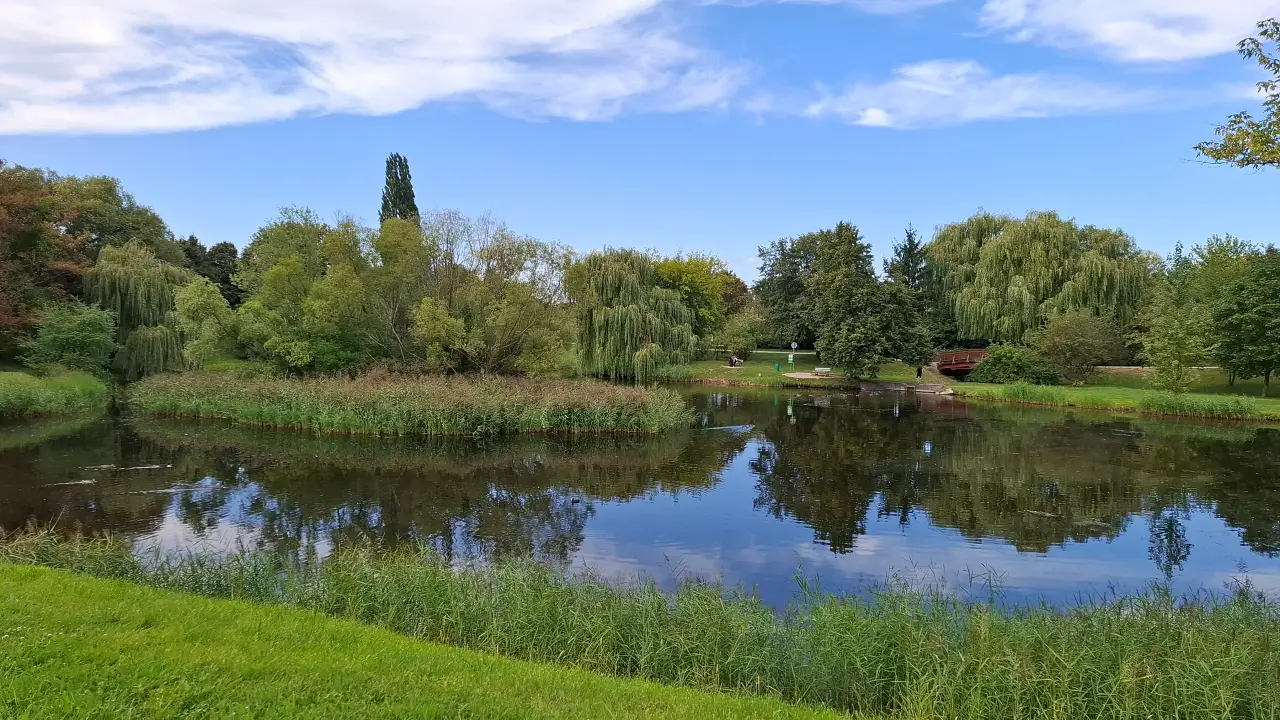 Jeden ze stawów w Parku Przyjaźni w Kaliszu